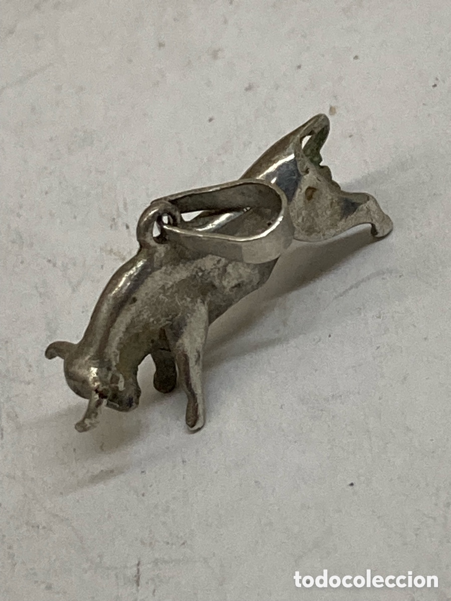 Joyeria: Colgante de plata C680