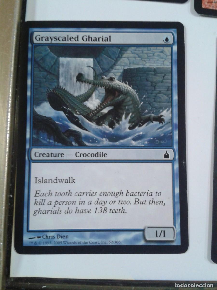 Juegos antiguos: Gavial escamagris. Magic the Gatering - Foto 1