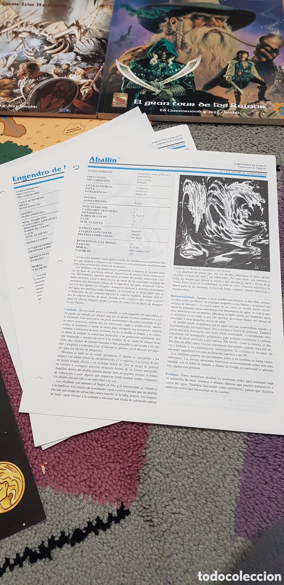 Juegos antiguos: VADEMECUM DE CAMPA&Ntilde;A Forgotten realms - Foto 5