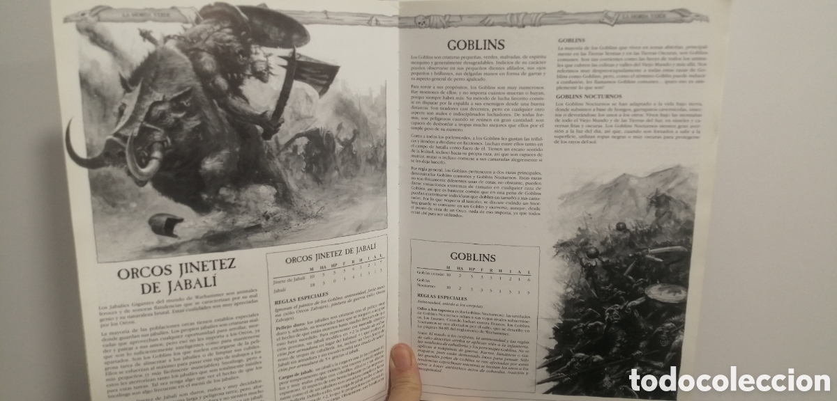 Juegos antiguos: Orcos y Goblins Warhammer Libro de rol Games Workshop 2004 - Foto 10
