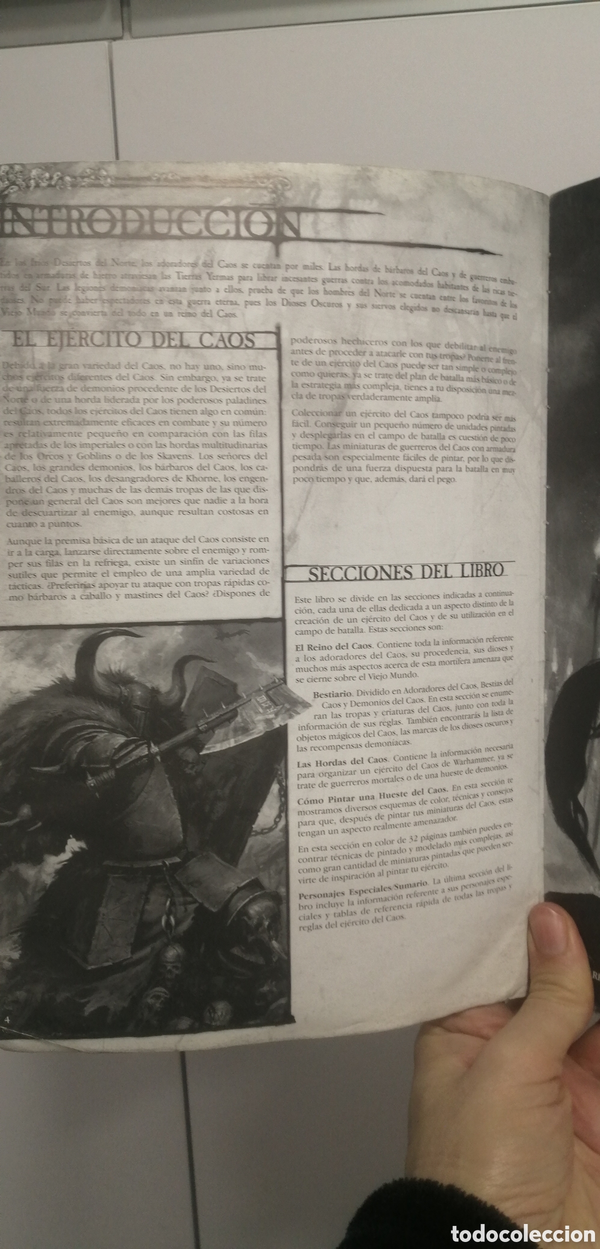 Juegos antiguos: Hordas del caos Ej&eacute;rcitos Rol Castellano Games Workshop - Foto 9