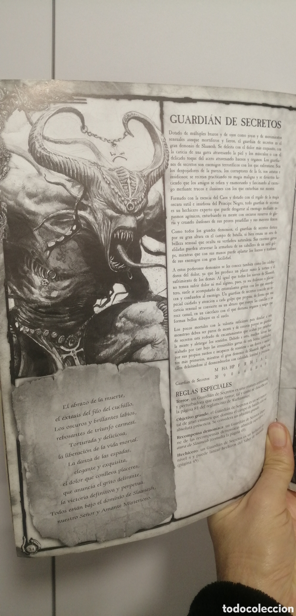 Juegos antiguos: Hordas del caos Ej&eacute;rcitos Rol Castellano Games Workshop - Foto 18
