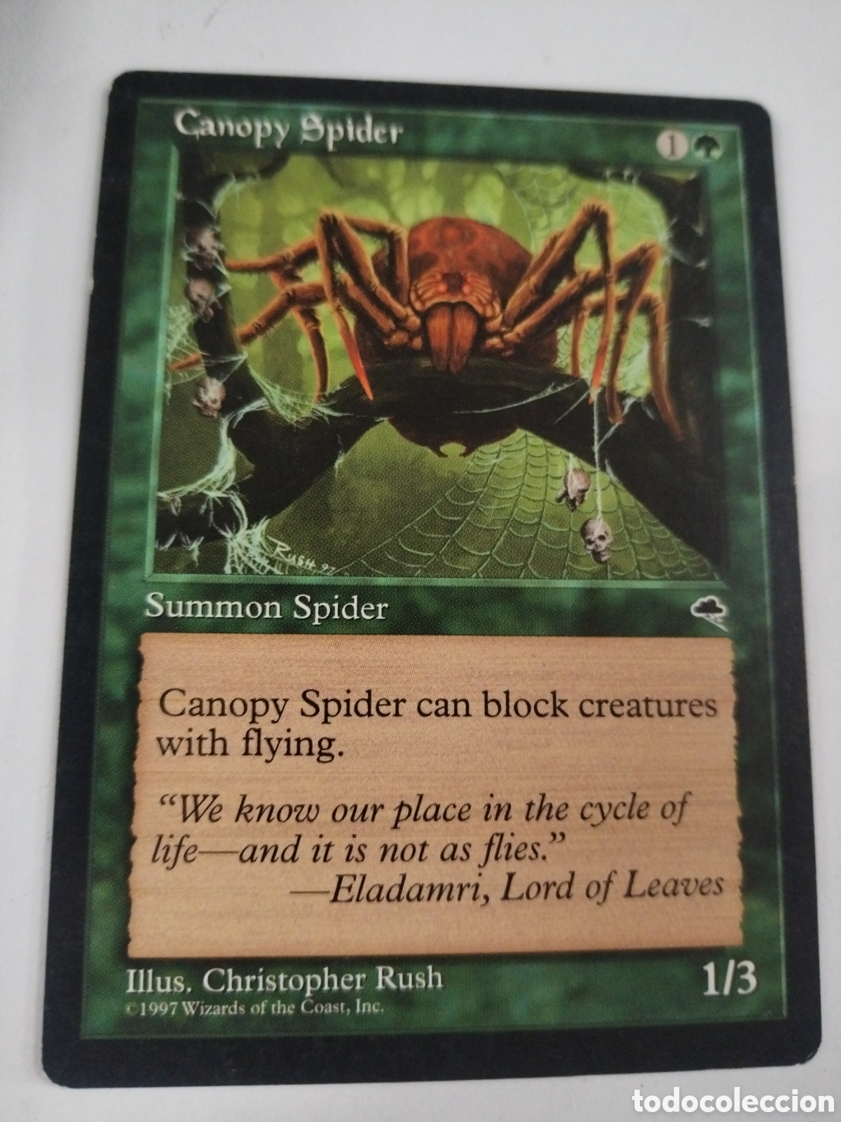 Juegos antiguos: Canopy Spider. MAGIC THE GATHERING. MTG. - Foto 1