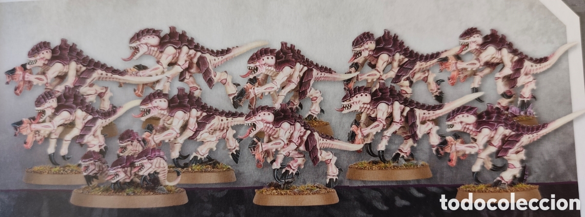 Juegos antiguos: 10 termagantes y enjambre devorador en matriz original Warhammer 40000 Tiranidos Combat Patrol