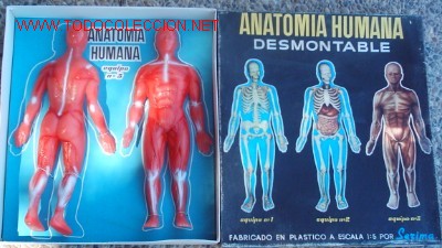 Juegos antiguos: ANATOM&Iacute;A HUMANA DE SERIMA - Foto 1