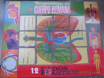 Juegos antiguos: ROMPECABEZAS EL CUERPO HUMANO, DE PAPIROTS - Foto 1
