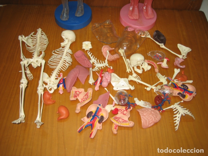Juegos antiguos: Juego del cuerpo humano - Foto 2