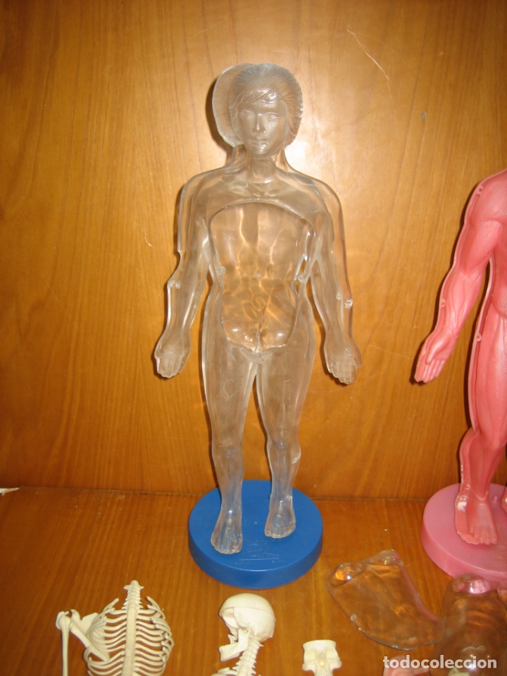 Juegos antiguos: Juego del cuerpo humano - Foto 4