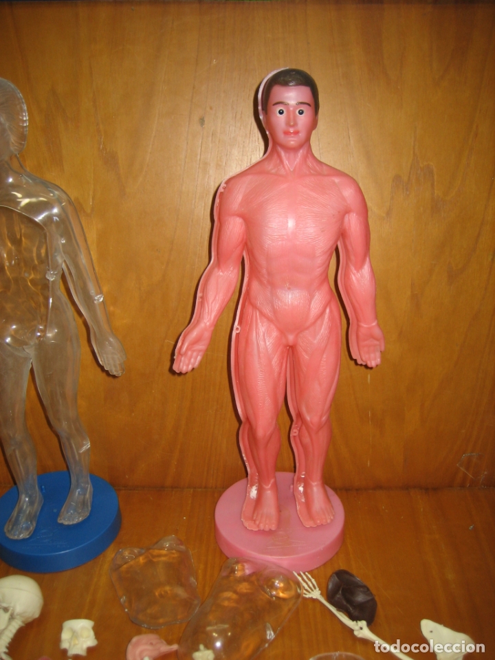 Juegos antiguos: Juego del cuerpo humano - Foto 5