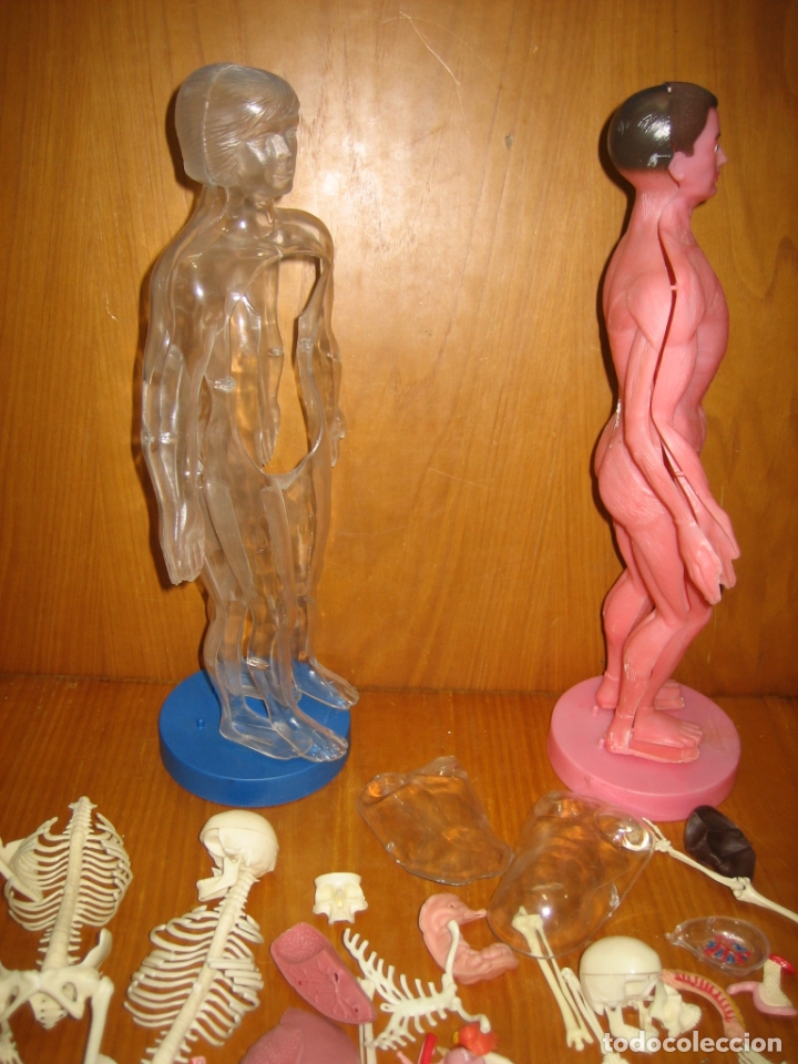 Juegos antiguos: Juego del cuerpo humano - Foto 6