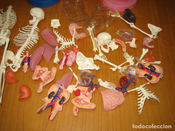 Juegos antiguos: Juego del cuerpo humano - Foto 7