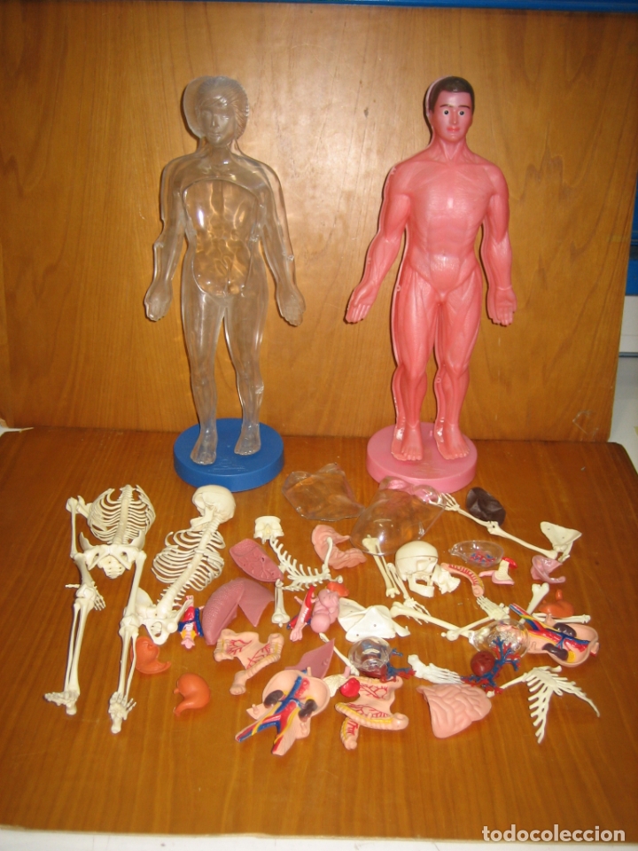 Juegos antiguos: Juego del cuerpo humano - Foto 1