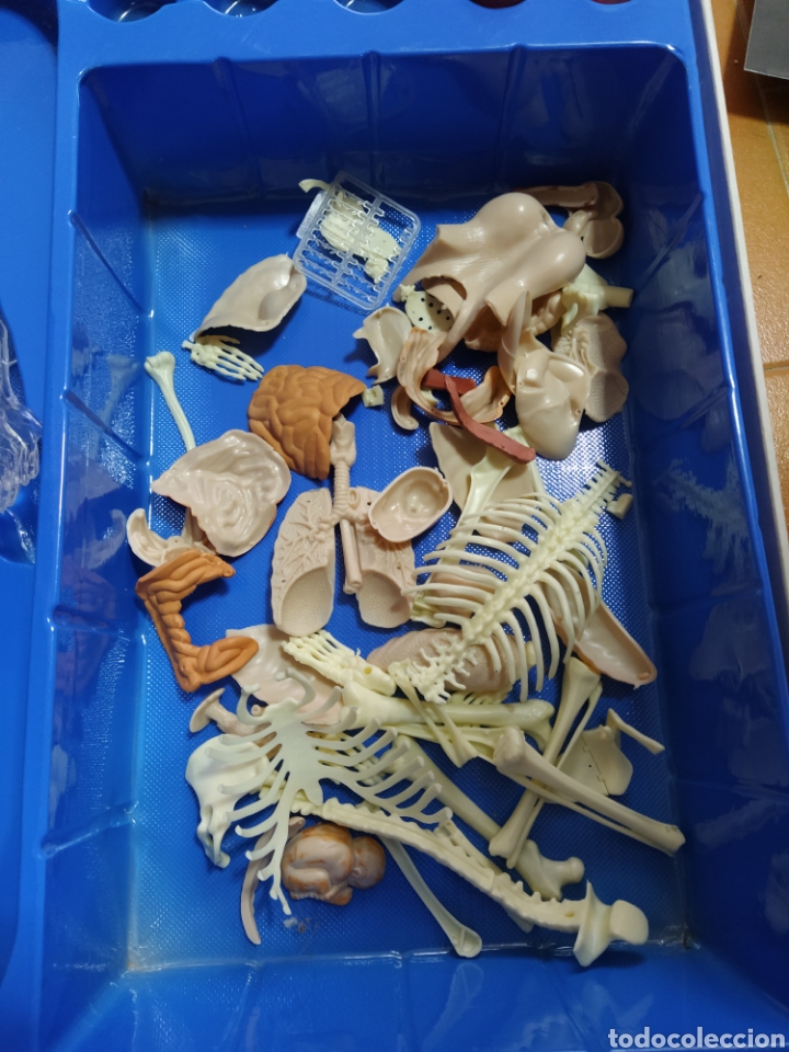 Juegos antiguos: Kit anatom&iacute;a mediterr&aacute;neo incompleto - Foto 4