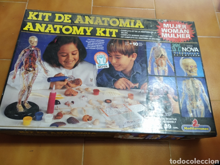 Juegos antiguos: Kit anatom&iacute;a mediterr&aacute;neo incompleto - Foto 1