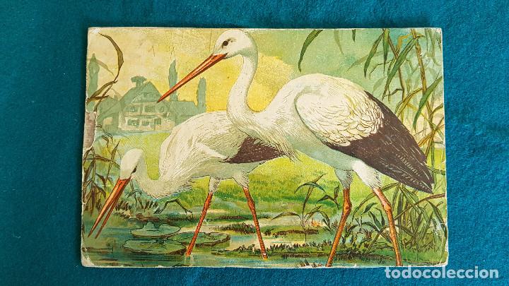 Juegos antiguos: ROMPECABEZAS MUY ANTIGUO - RW - Foto 8