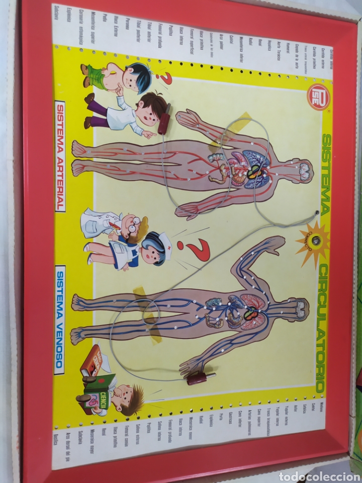 Juegos antiguos: Estudiando anatom&iacute;a de PSE - Foto 2