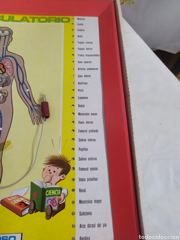 Juegos antiguos: Estudiando anatom&iacute;a de PSE - Foto 3
