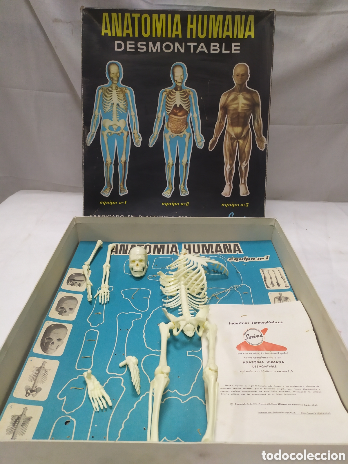 Juegos antiguos: Anatom&iacute;a humana desmontable de Serima - Foto 2
