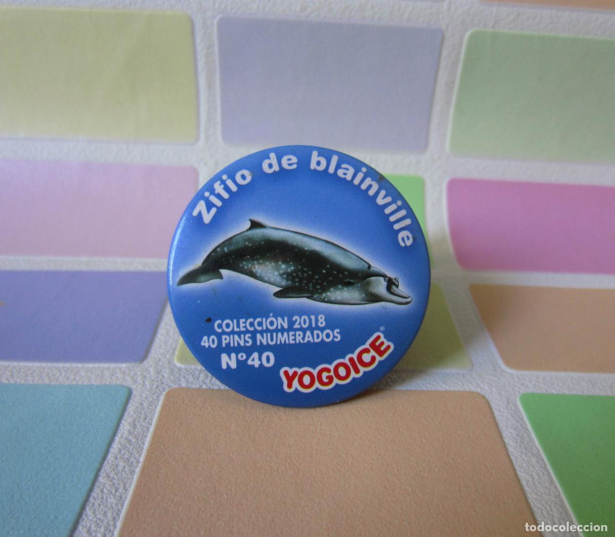 Juegos antiguos: TAZOS IMAN CHURUCA YOGOICE TAZO ZIFIO DE BLAINVILLE