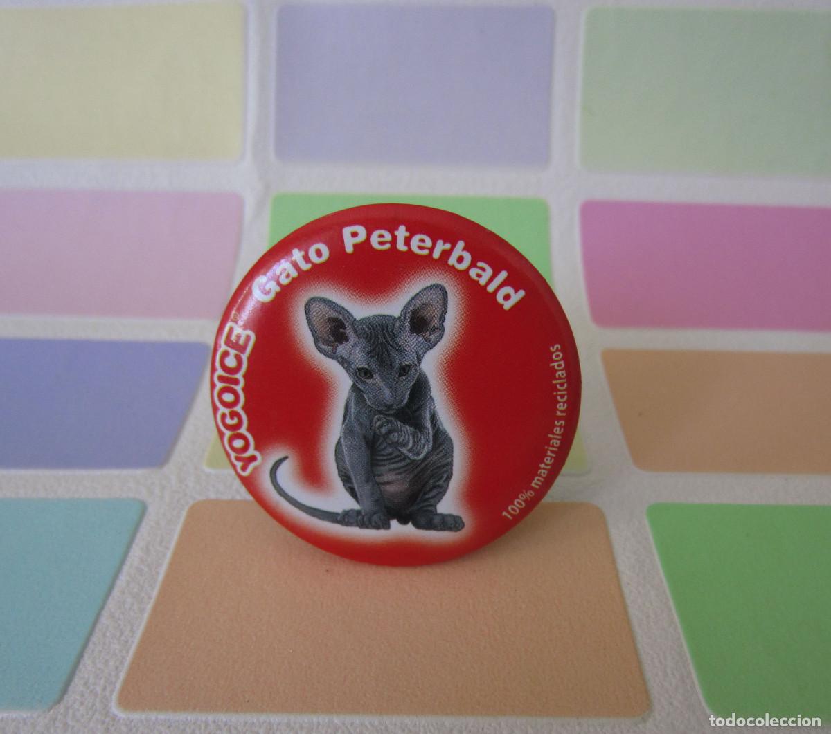 Juegos antiguos: TAZOS IMAN CHURUCA YOGOICE TAZO GATO PETERBALD