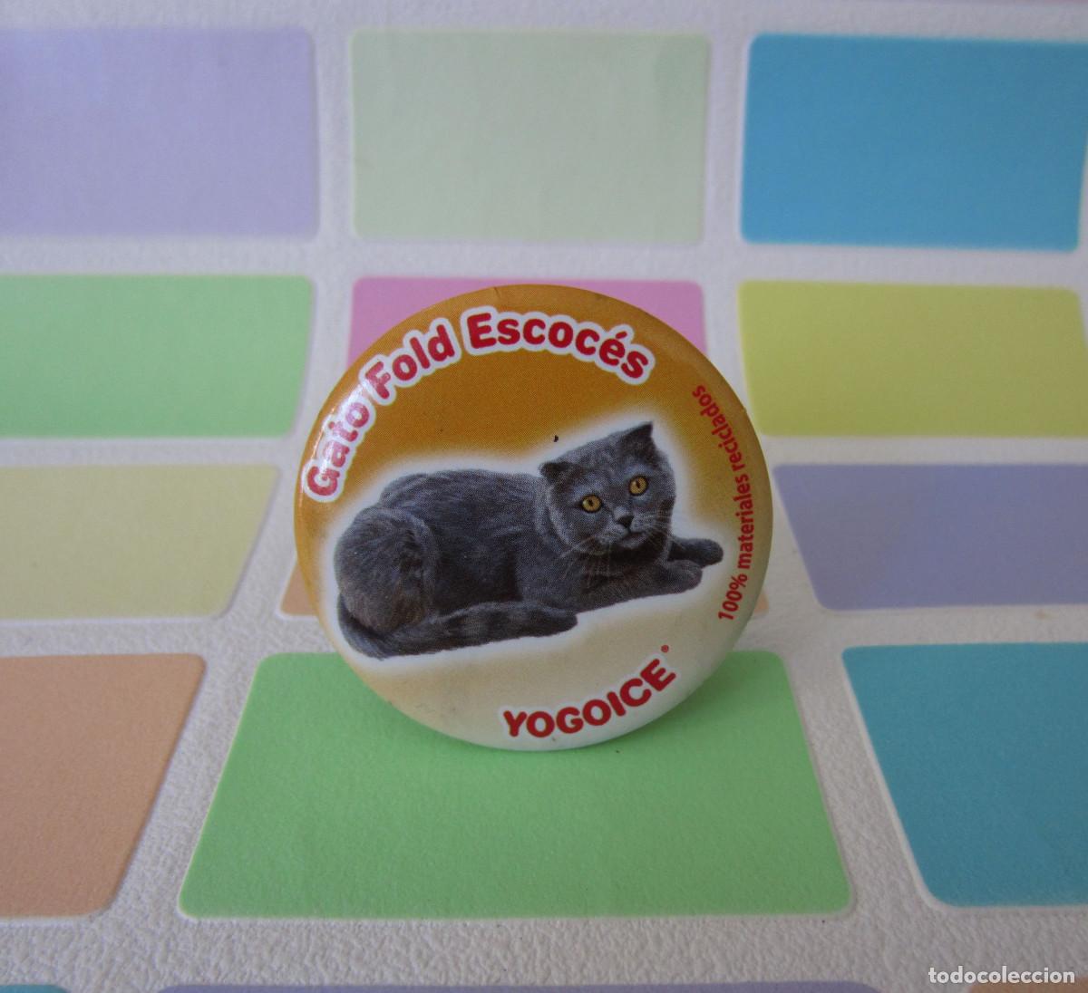 Juegos antiguos: TAZOS IMAN CHURUCA YOGOICE TAZO GATO FOLD ESCOCES