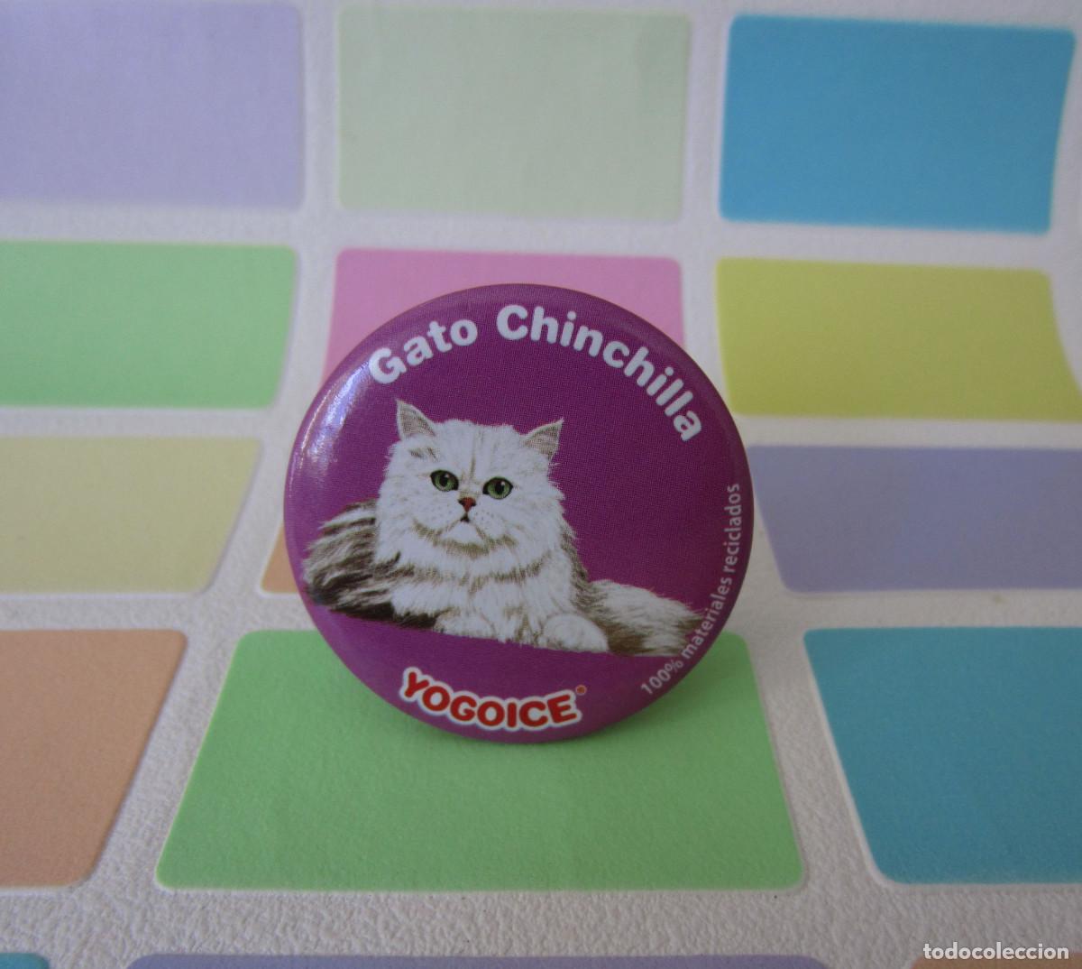 Juegos antiguos: TAZOS IMAN CHURUCA YOGOICE TAZO GATO CHINCHILLA