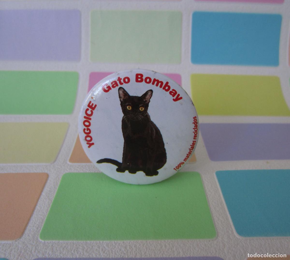 Juegos antiguos: TAZOS IMAN CHURUCA YOGOICE TAZO GATO BOMBAY