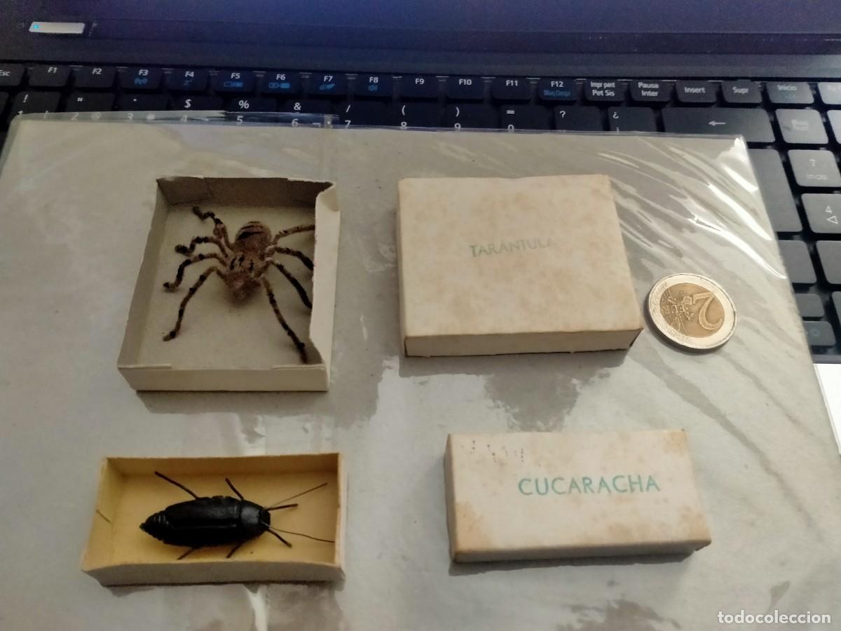 Juegos antiguos: juguetes insectos cajas originales a&ntilde;os 50-60