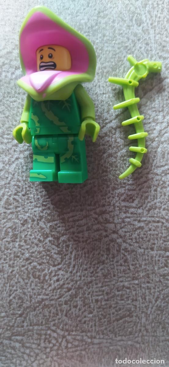 Construction games - LEGO: LEGO MINI FIGURE PLANTA
