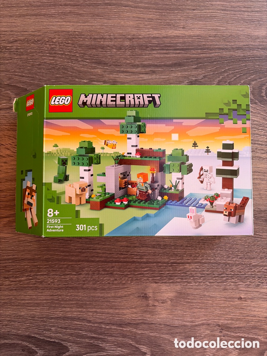 Spielzeug zum Bauen - LEGO: LEGO CAJA VACIA MINECRAFT 21593 FIRST NIGHT ADVENTURE