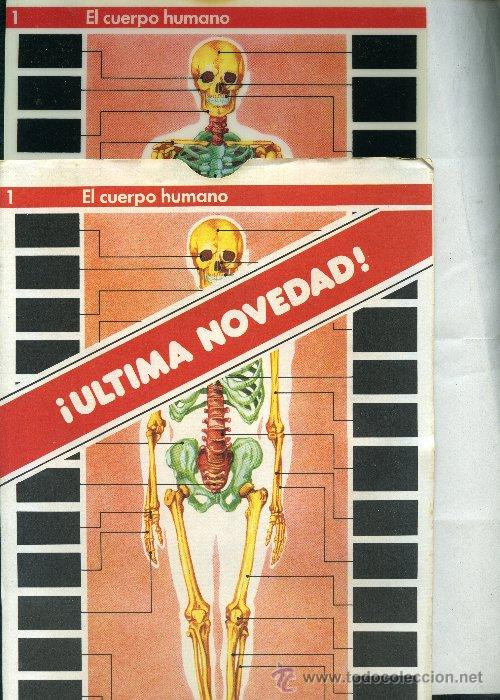 Educational Games: JUEGO DID&Aacute;CTICO EL CUERPO HUMANO se acciona por el calor va dentro de un sobre