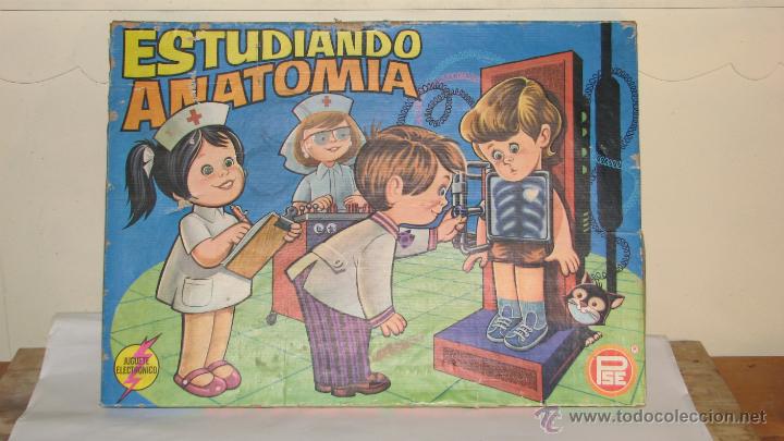Juegos educativos: JUEGO EDUCATIVO, ESTUDIANDO ANATOM&Iacute;A - Foto 1