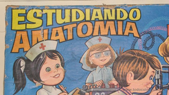 Juegos educativos: JUEGO EDUCATIVO, ESTUDIANDO ANATOM&Iacute;A - Foto 2