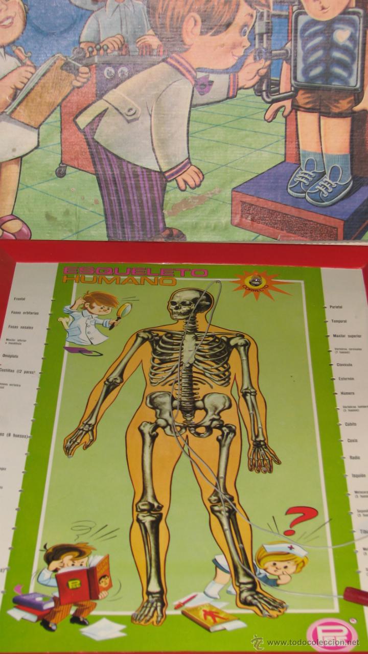 Juegos educativos: JUEGO EDUCATIVO, ESTUDIANDO ANATOM&Iacute;A - Foto 7