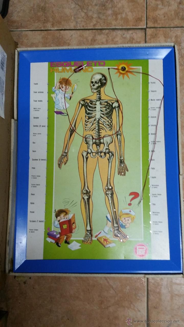Juegos educativos: Antiguo juego electronico Estudiando anatomia, marca pse - Foto 2