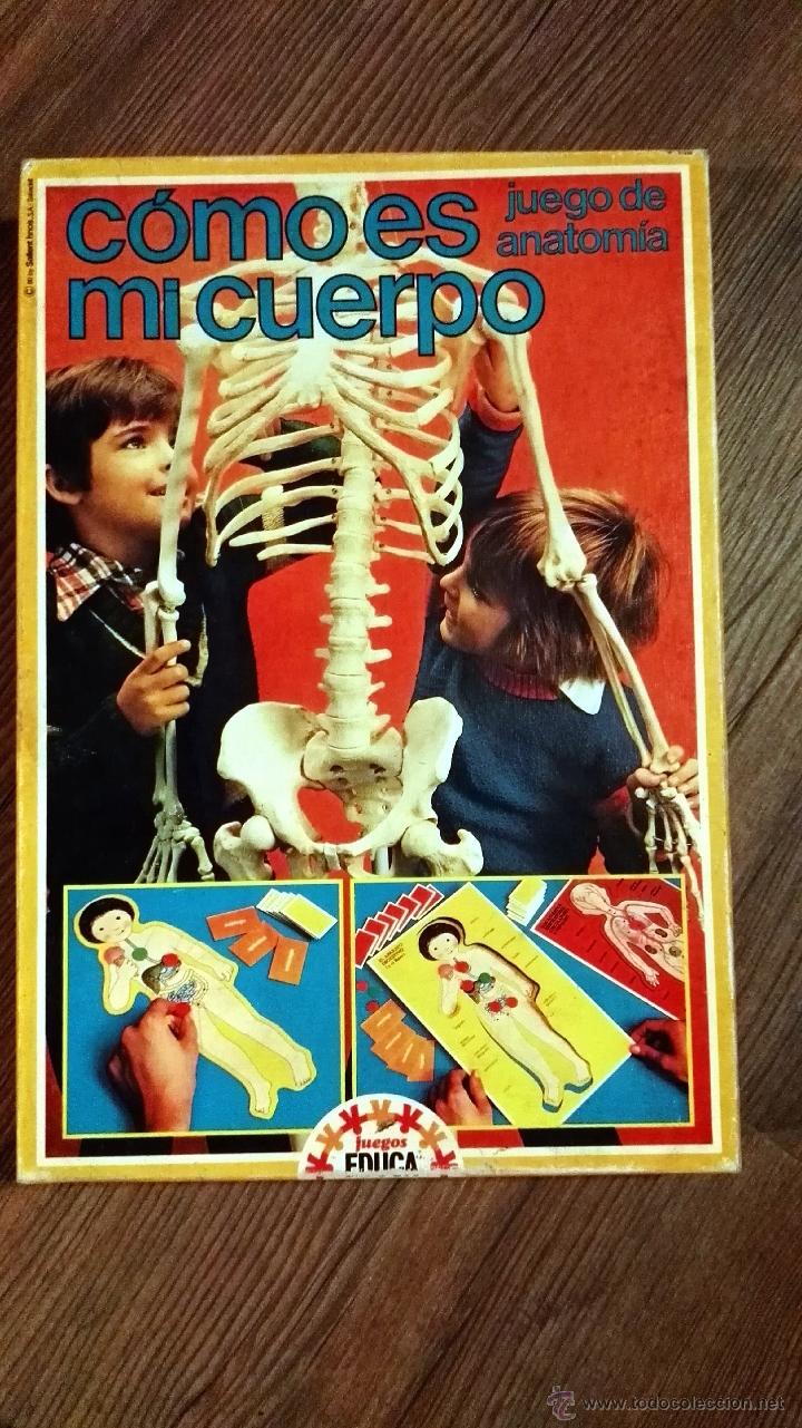 Juegos educativos: C&oacute;mo es mi cuerpo - Foto 1
