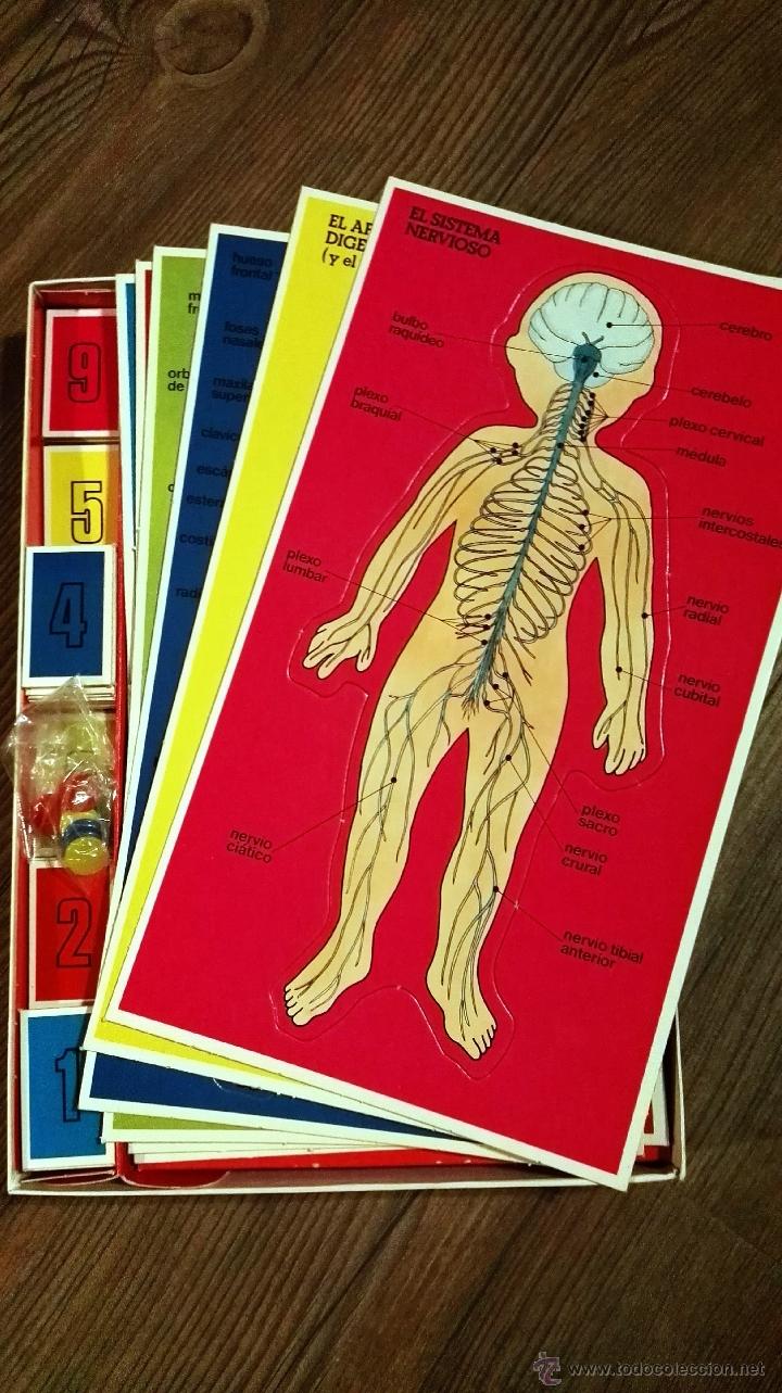 Juegos educativos: C&oacute;mo es mi cuerpo - Foto 2