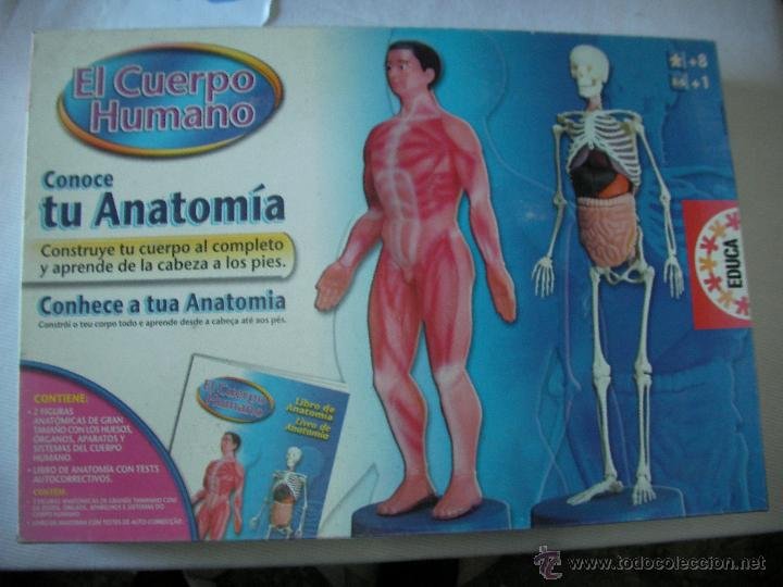 El Cuerpo Humano Conoce Tu Anatomia Educa Comprar Juegos Educativos Antiguos En Todocoleccion 54633397