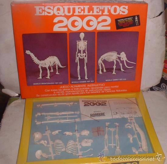 Juegos educativos: JUEGO ESQUELETOS 2002. MODELO HOMBRE, REF 827, EN CAJA. CC - Foto 1