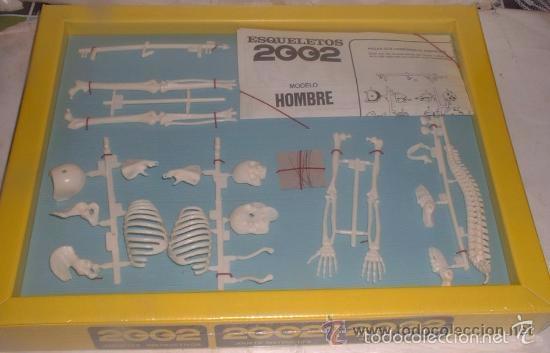 Juegos educativos: JUEGO ESQUELETOS 2002. MODELO HOMBRE, REF 827, EN CAJA. CC - Foto 2