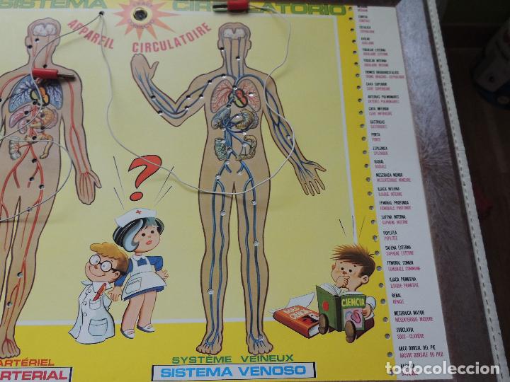 Juegos educativos: ENCICLOPEDIA ELECTRICA P S E - Foto 5