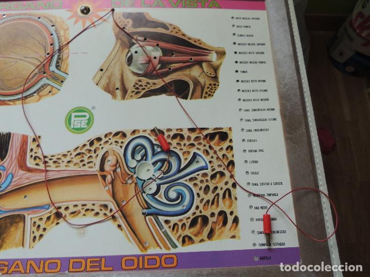 Juegos educativos: ENCICLOPEDIA ELECTRICA DE P S E - Foto 3