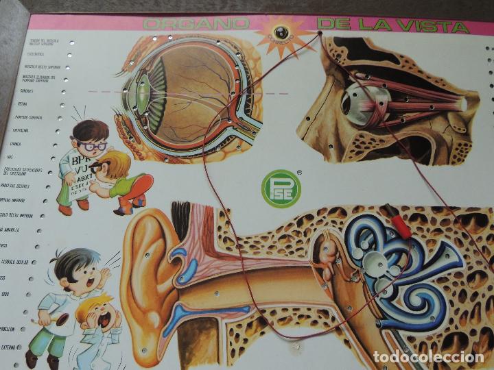 Juegos educativos: ENCICLOPEDIA ELECTRICA DE P S E - Foto 4