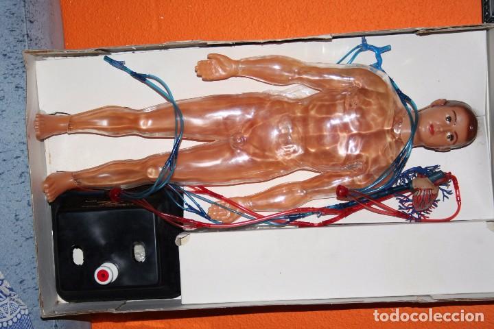 Juegos educativos: anatomia humana sistema circulatorio - Foto 3