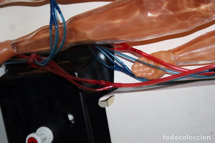 Juegos educativos: anatomia humana sistema circulatorio - Foto 6