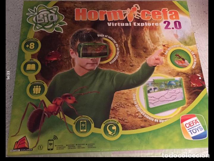 Juegos educativos: Hormicefa 2.0 virtual explorer - Foto 1