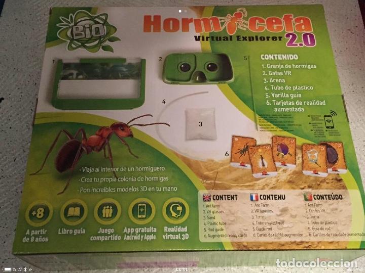 Juegos educativos: Hormicefa 2.0 virtual explorer - Foto 2