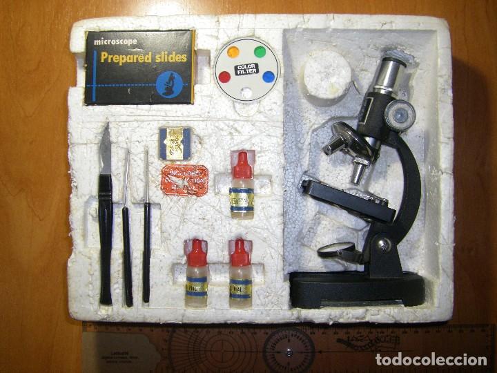 Juegos educativos: microscopio cl&aacute;sico - Foto 1