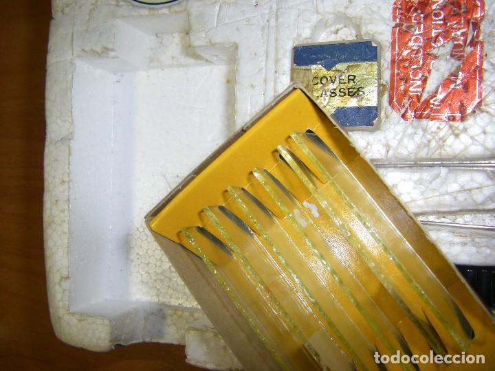 Juegos educativos: microscopio cl&aacute;sico - Foto 7