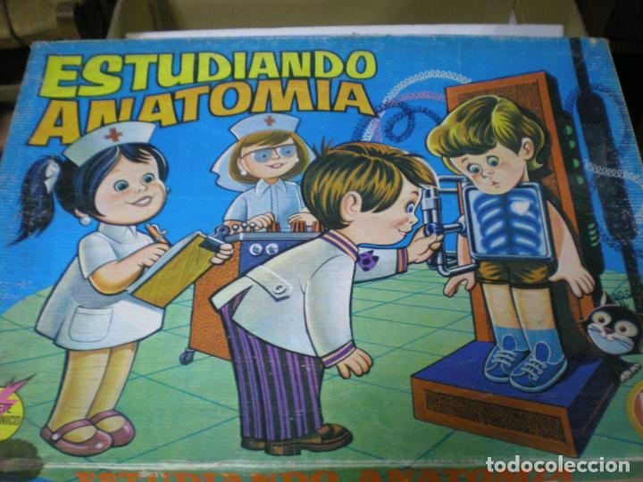Juegos educativos: JUGUETE ESTUDIANDO ANATOMIA - Foto 1